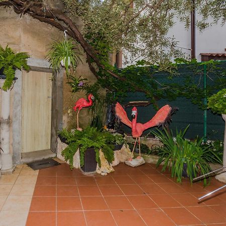 Naomi Apartment Zadar Ngoại thất bức ảnh